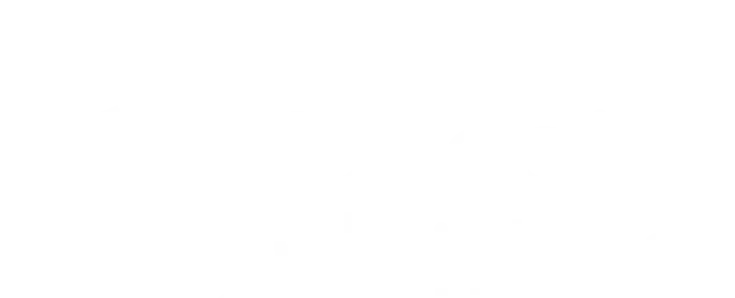 Colored Doggies N’ Kitties logo for light backgrounds